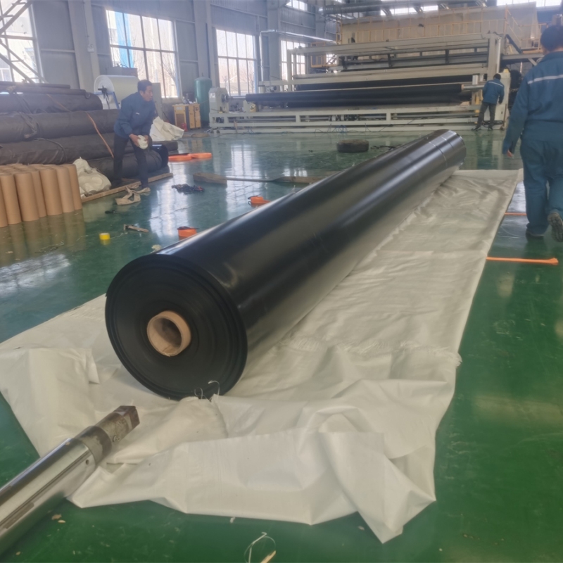 landfill geomembrane