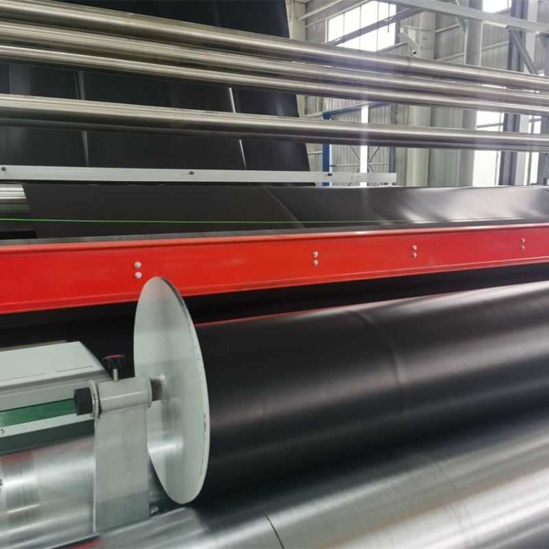 landfill geomembrane