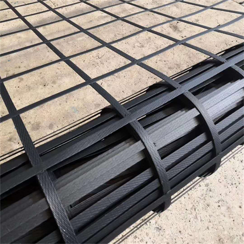 Steel-plastic geogrid for subgrade
