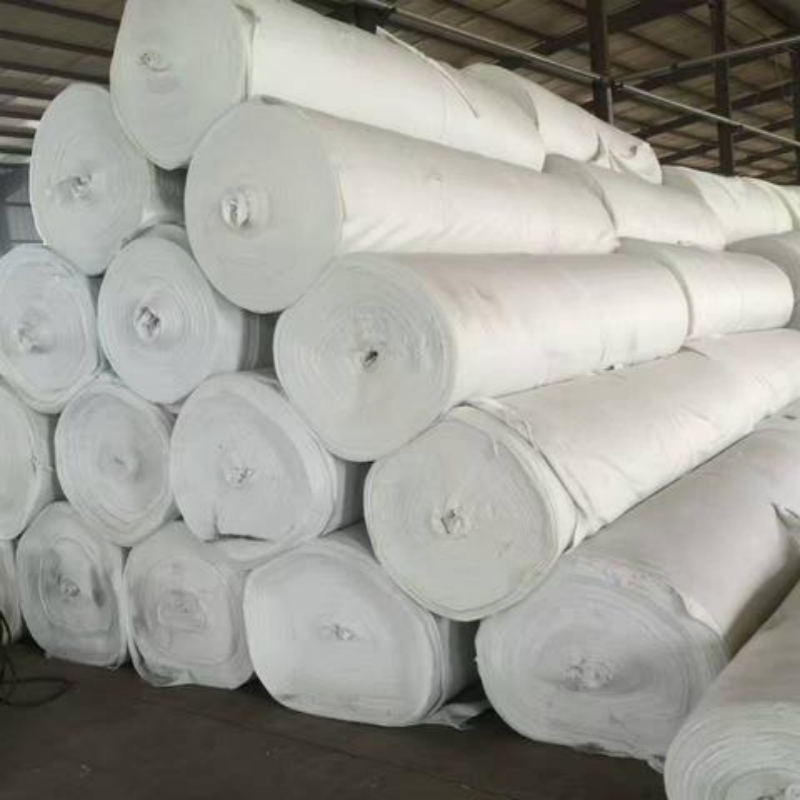 Geotextile for Sludge Drying Yard