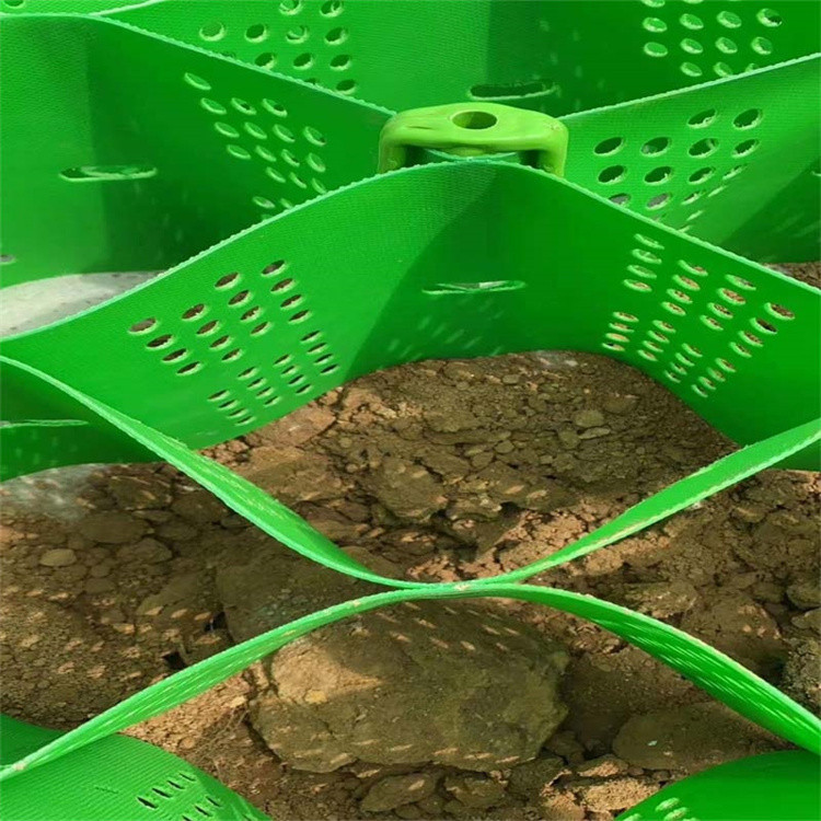 Plastic cellular confinement system