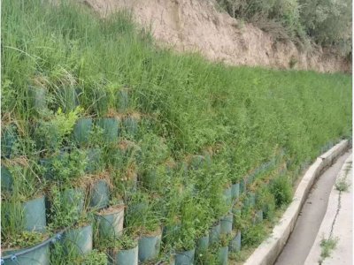 honeycomb geocell for slope protection